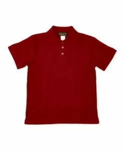 Flash Sale 🥰 Daniel L Burgundy Button-Front Polo - Boys For Kids 😀